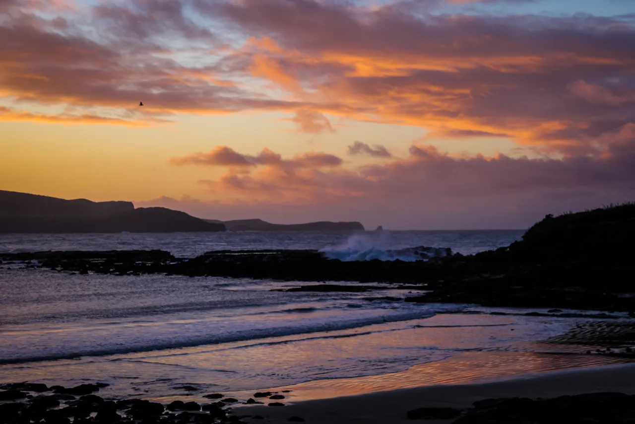 The Catlins - Southland, New Zealand - Credit Liz Carlson (1)
