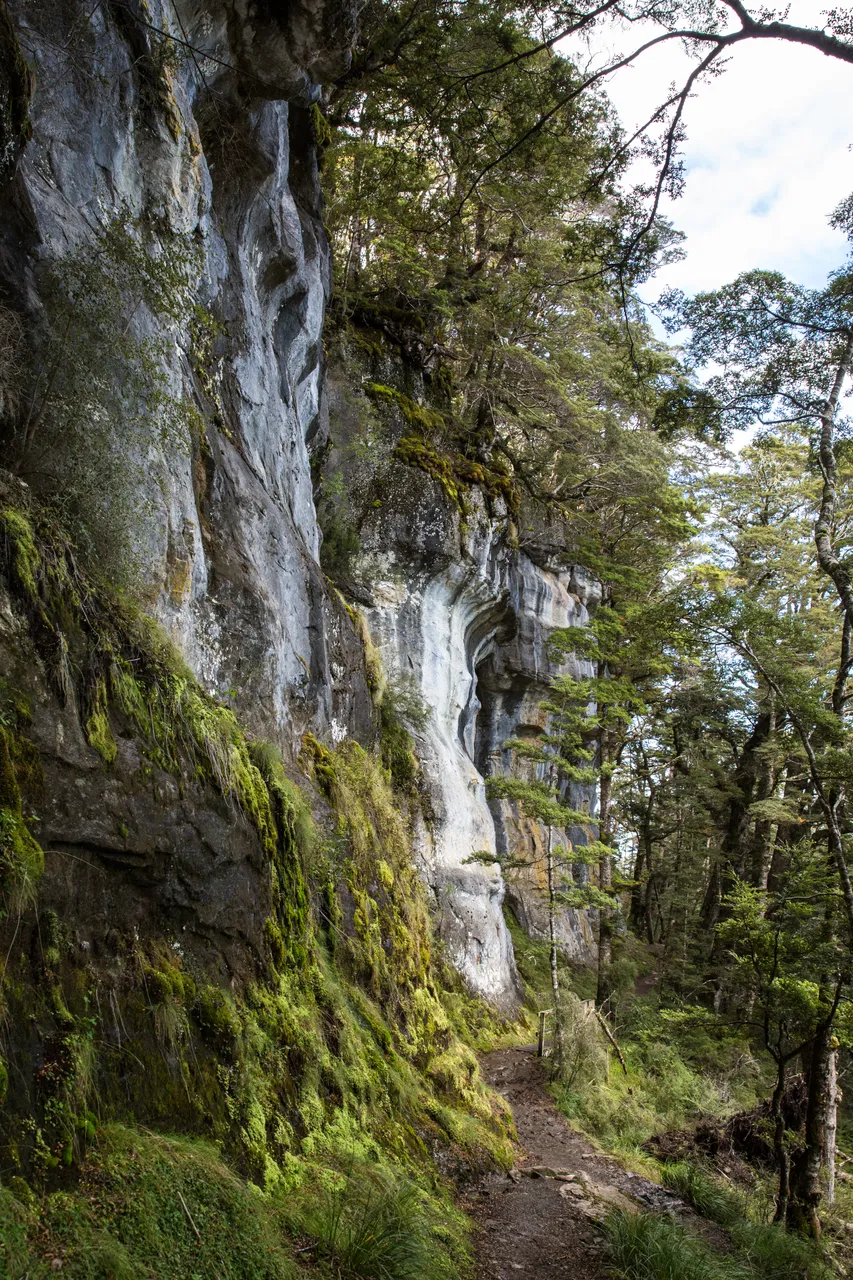 Kepler Track - Southland, New Zealand - Credit Liz Carlson (62)