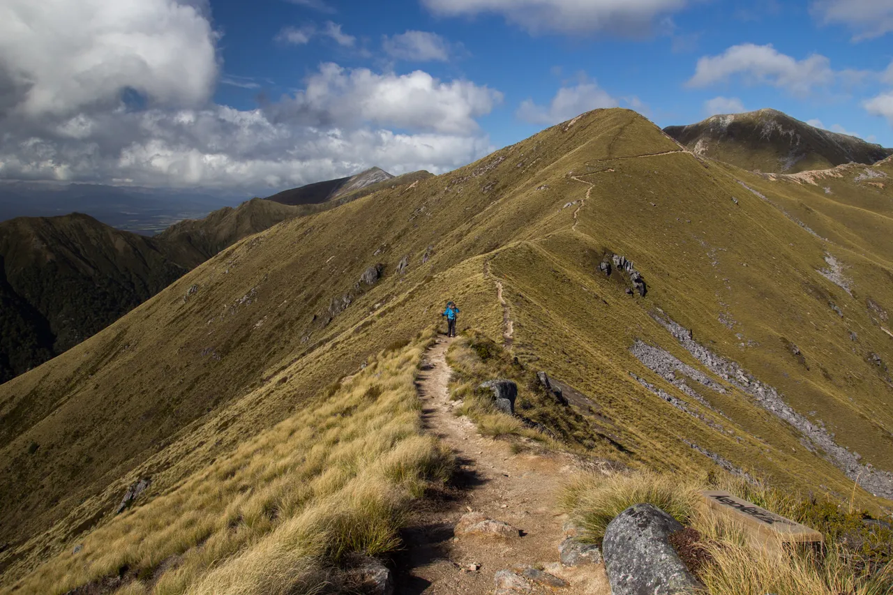 Kepler Track - Southland, New Zealand - Credit Liz Carlson (72)