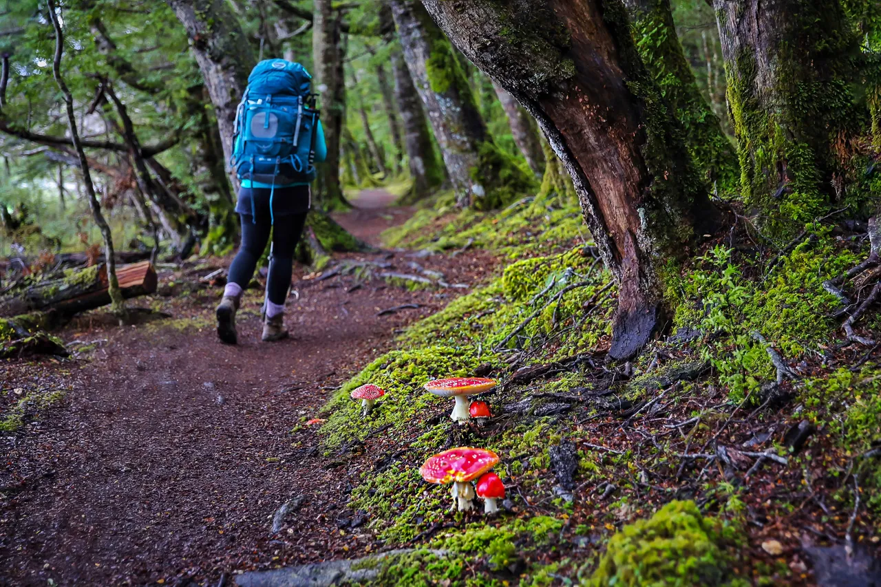 Kepler Track - Southland, New Zealand - Credit Liz Carlson (66)
