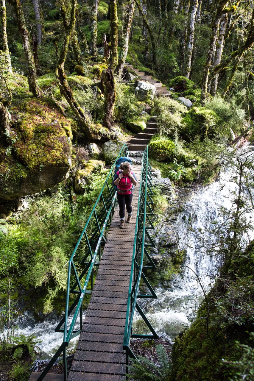 Kepler Track - Southland, New Zealand - Credit Liz Carlson (81)