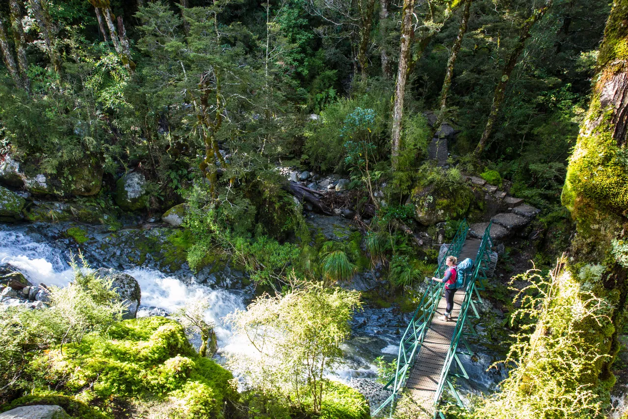 Kepler Track - Southland, New Zealand - Credit Liz Carlson (79)