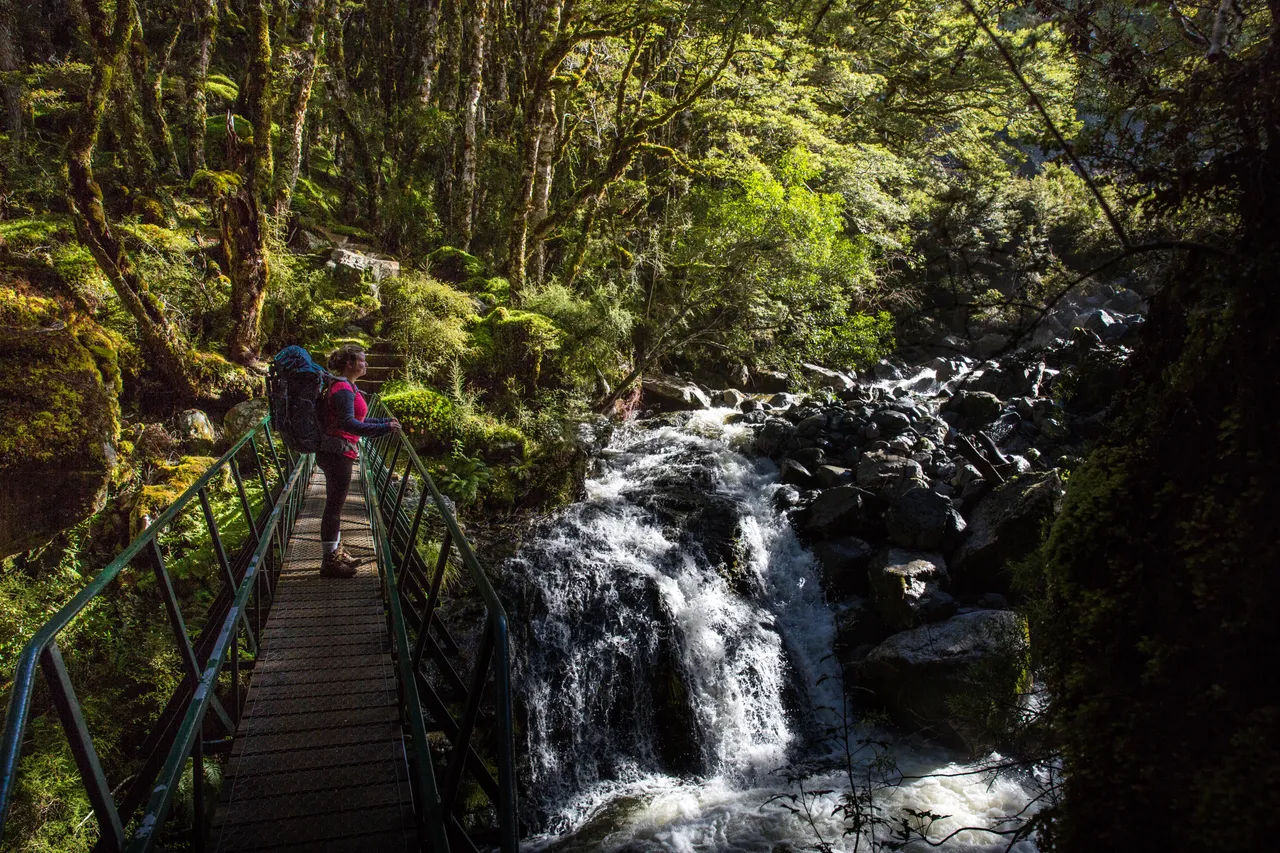 Kepler Track - Southland, New Zealand - Credit Liz Carlson (80)