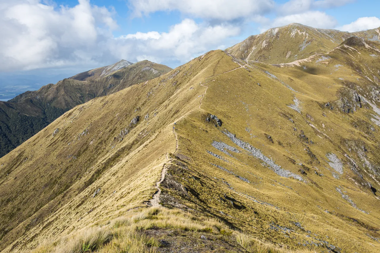 Kepler Track - Southland, New Zealand - Credit Liz Carlson (39)
