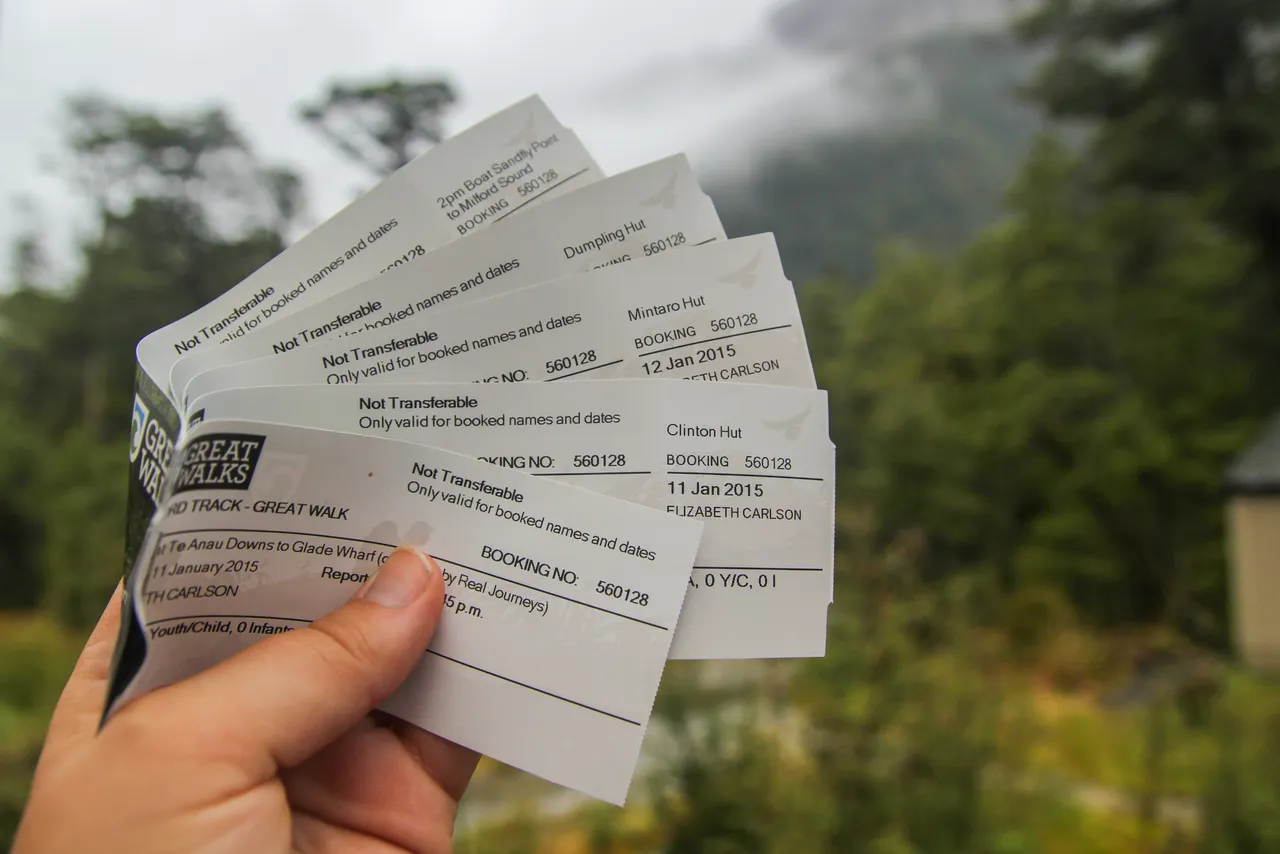 Milford Track - Southland, New Zealand - Credit Liz Carlson (1)