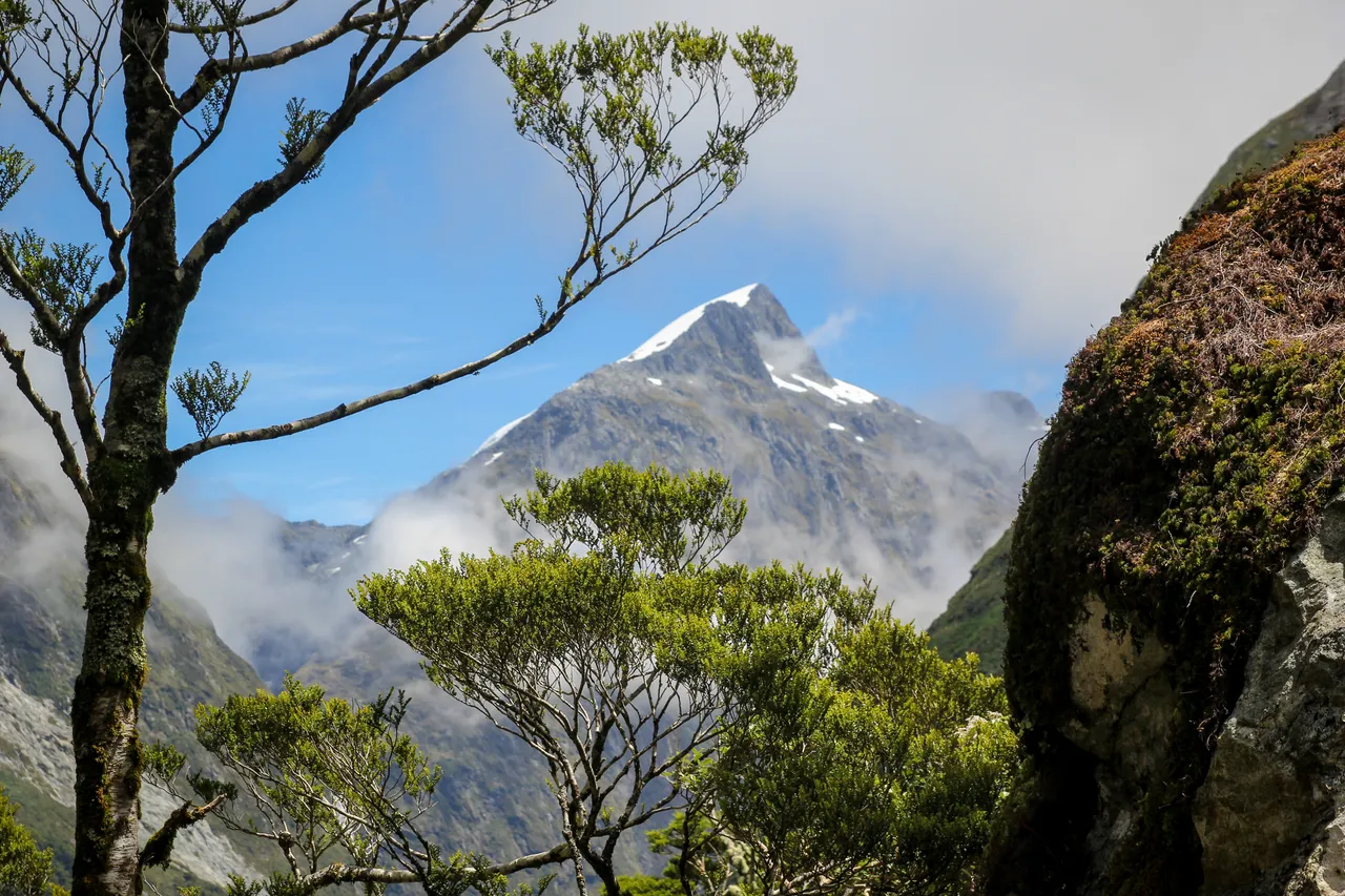 Milford Track - Southland, New Zealand - Credit Liz Carlson (11)