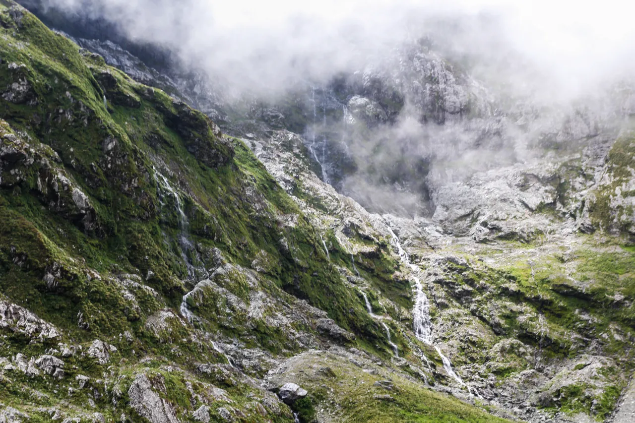 Milford Track - Southland, New Zealand - Credit Liz Carlson (10)