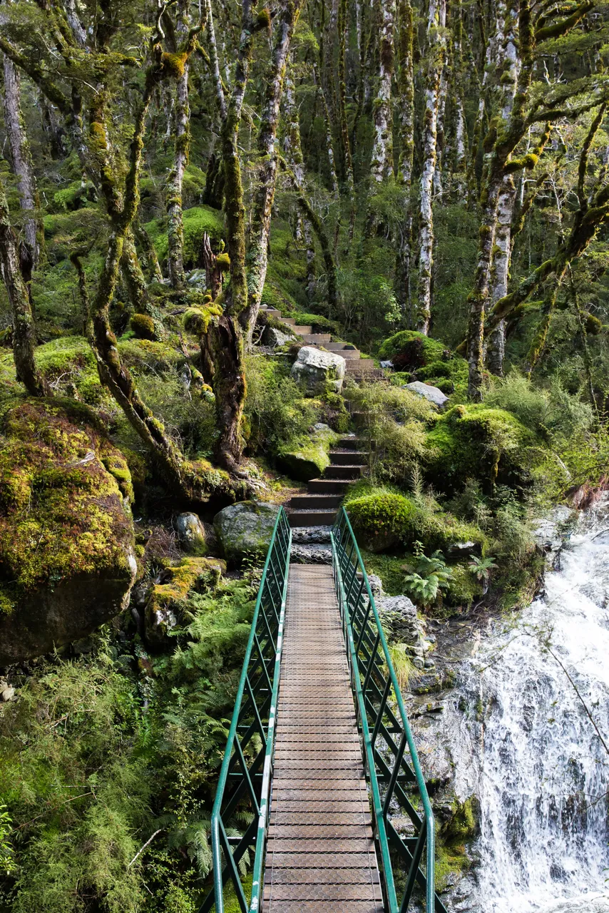 Kepler Track - Southland, New Zealand - Credit Liz Carlson (33)