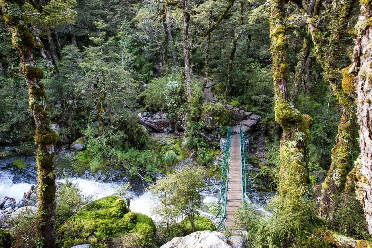 Kepler Track - Southland, New Zealand - Credit Liz Carlson (29)
