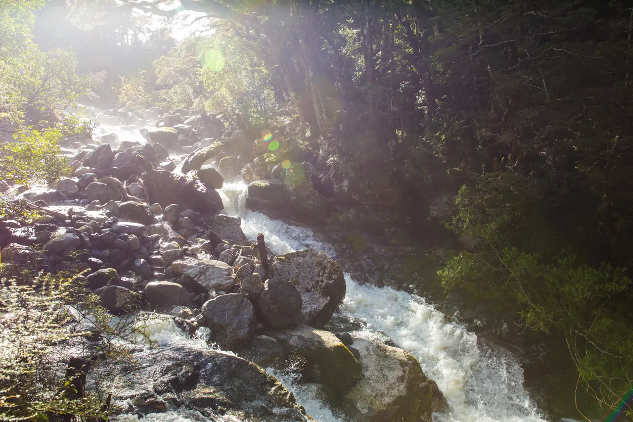 Kepler Track - Southland, New Zealand - Credit Liz Carlson (30)