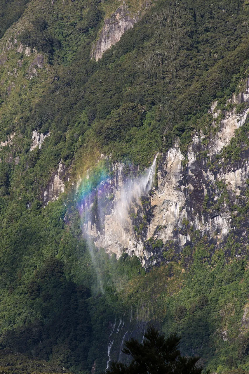 Kepler Track - Southland, New Zealand - Credit Liz Carlson (28)
