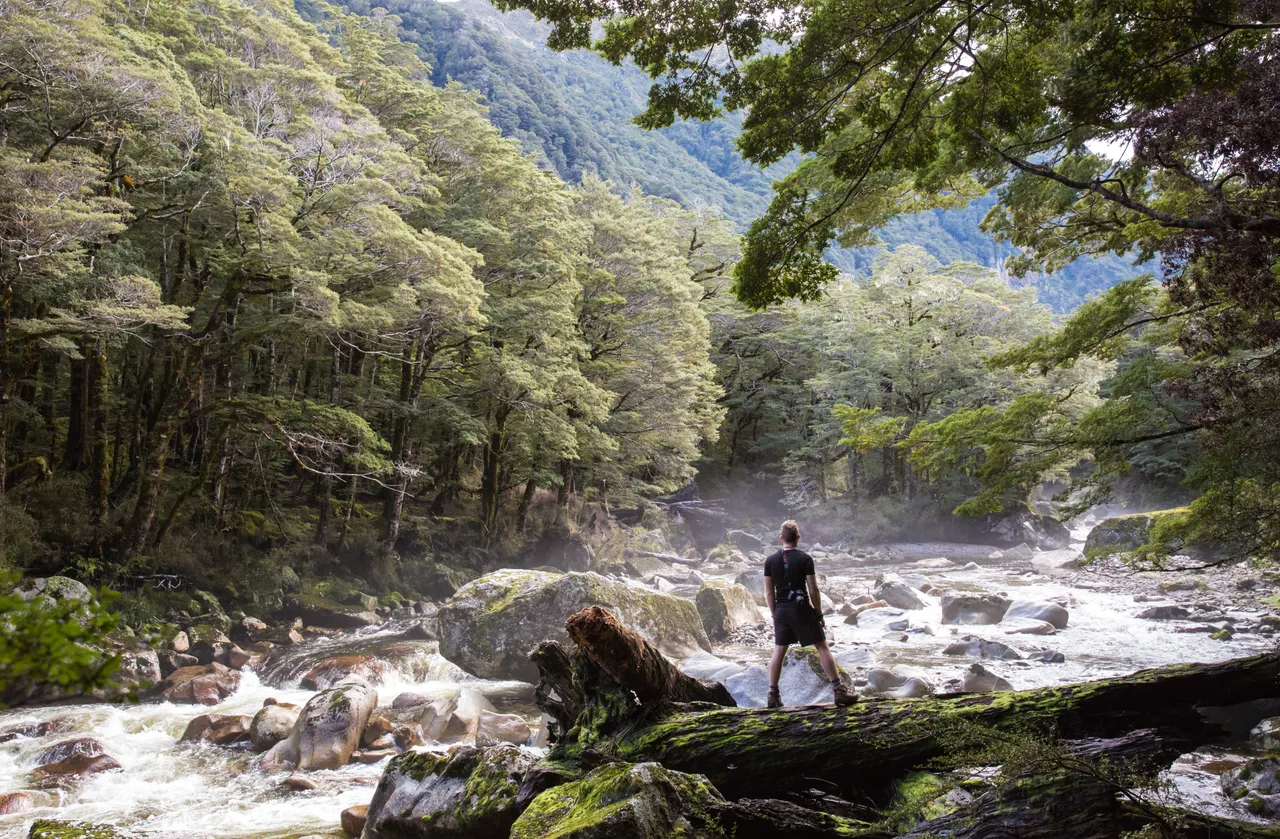 Kepler Track - Southland, New Zealand - Credit Liz Carlson (14)