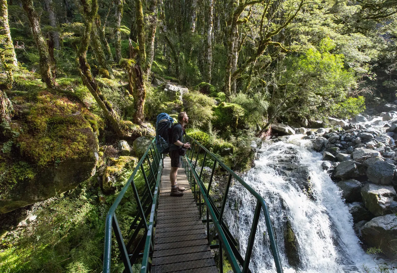 Kepler Track - Southland, New Zealand - Credit Liz Carlson (31)