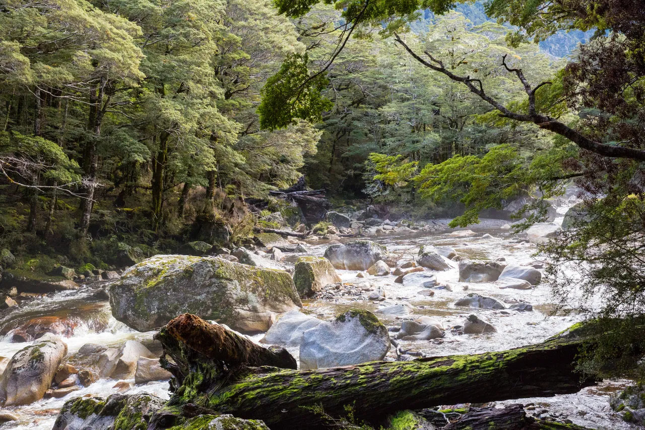 Kepler Track - Southland, New Zealand - Credit Liz Carlson (13)