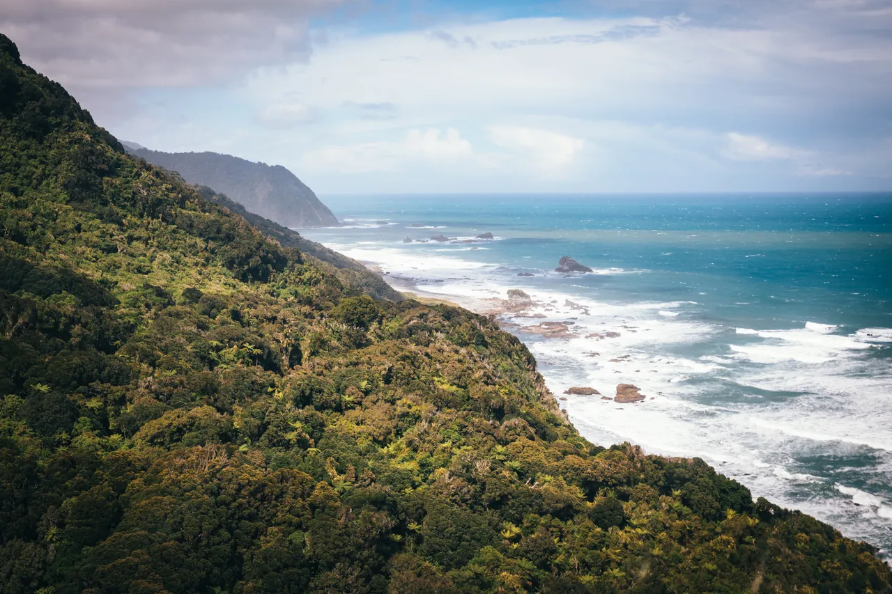 Hollyford Track - Southland, New Zealand - Credit Liz Carlson (57)