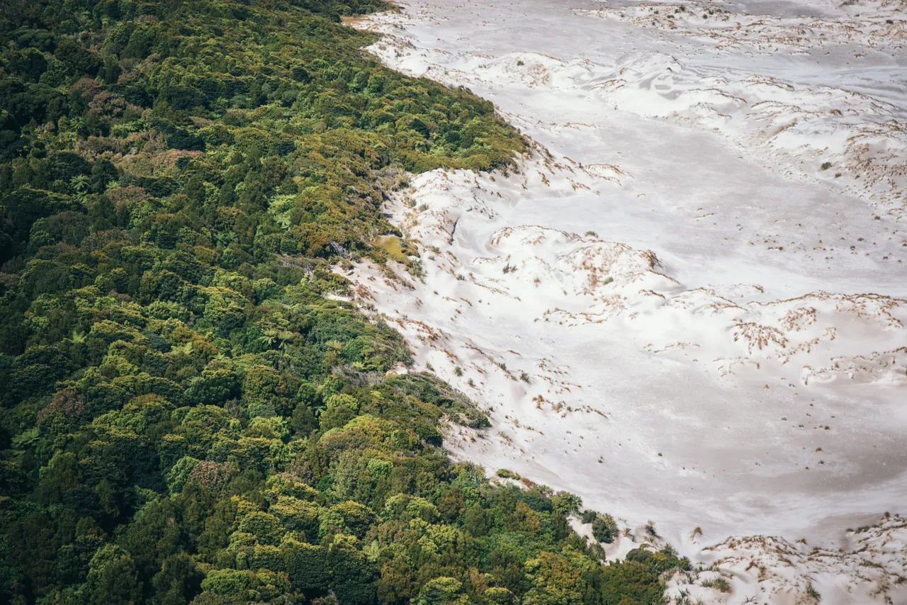 Hollyford Track - Southland, New Zealand - Credit Liz Carlson (50)