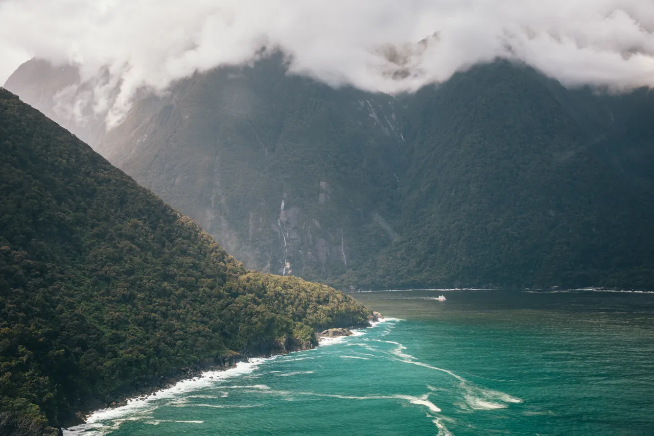 Hollyford Track - Southland, New Zealand - Credit Liz Carlson (75)