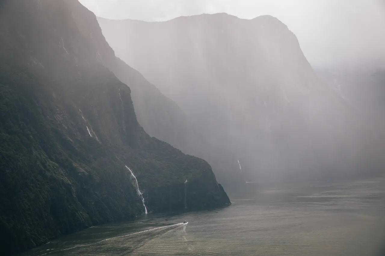 Hollyford Track - Southland, New Zealand - Credit Liz Carlson (76)