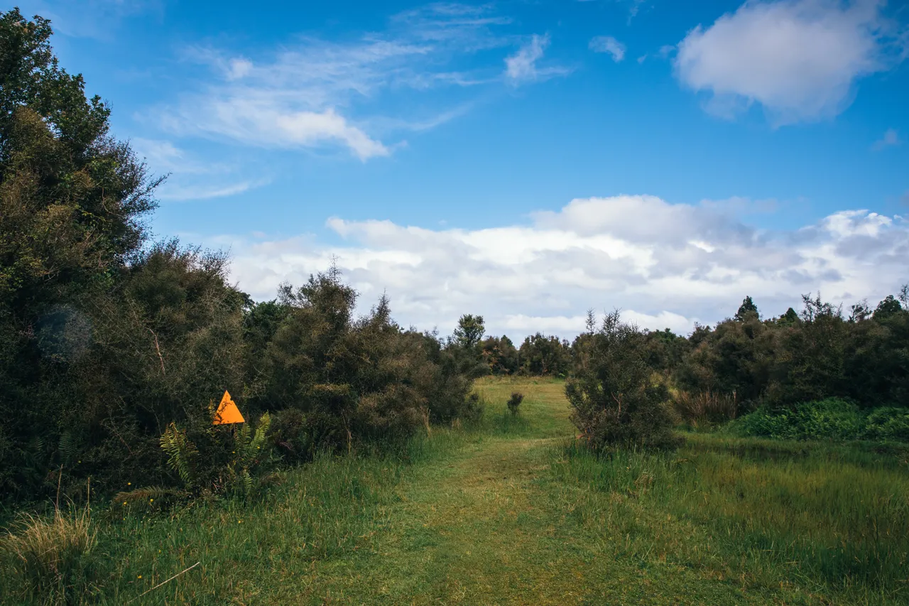 Hollyford Track - Southland, New Zealand - Credit Liz Carlson (40)