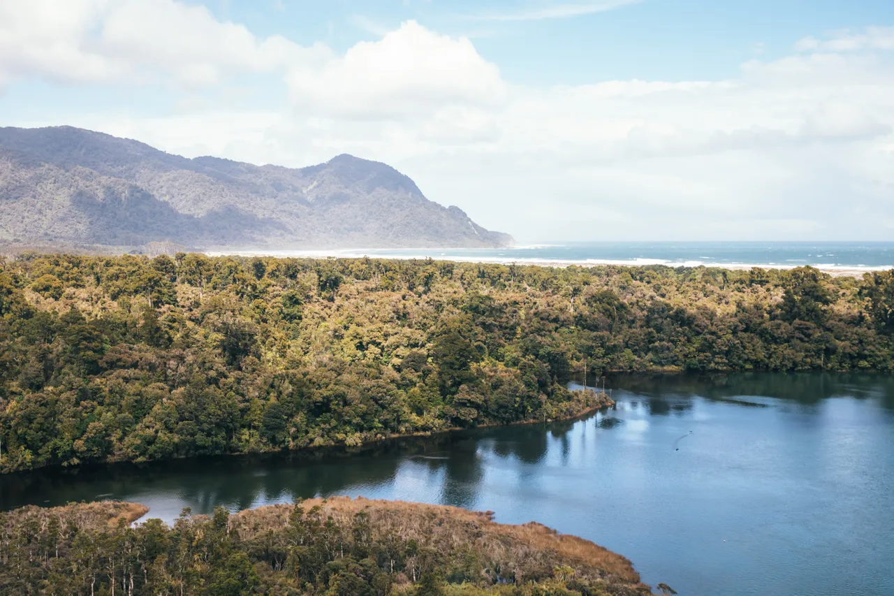 Hollyford Track - Southland, New Zealand - Credit Liz Carlson (44)