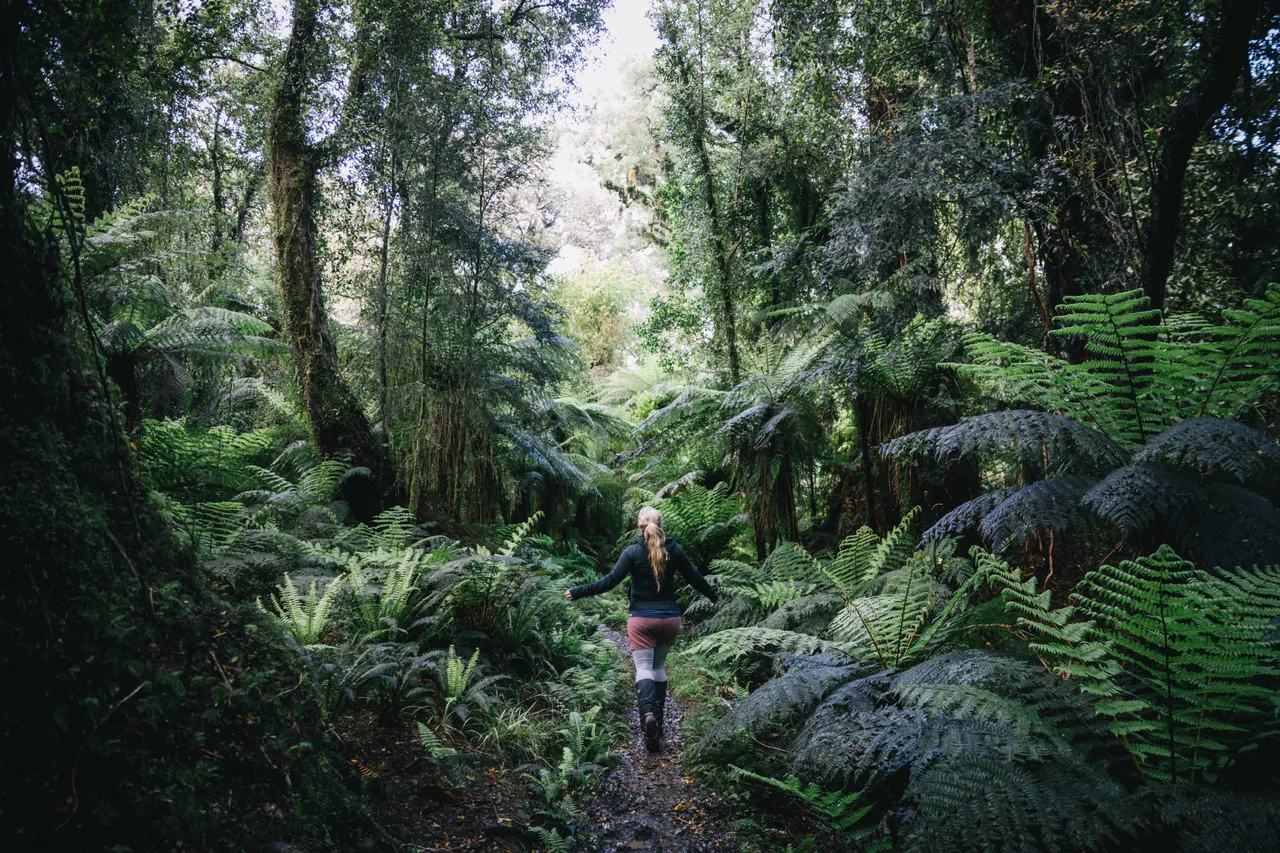 Hollyford Track - Southland, New Zealand - Credit Liz Carlson (87)