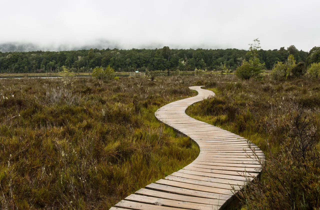 Kepler Track - Southland, New Zealand - Credit Liz Carlson (5)