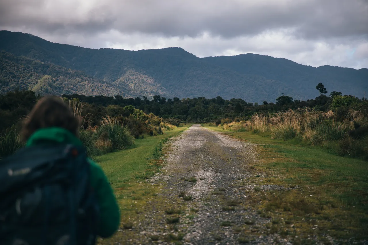 Hollyford Track - Southland, New Zealand - Credit Liz Carlson (41)