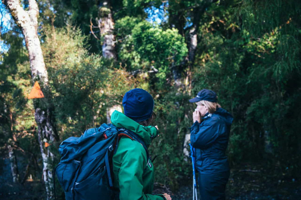 Hollyford Track - Southland, New Zealand - Credit Liz Carlson (26)