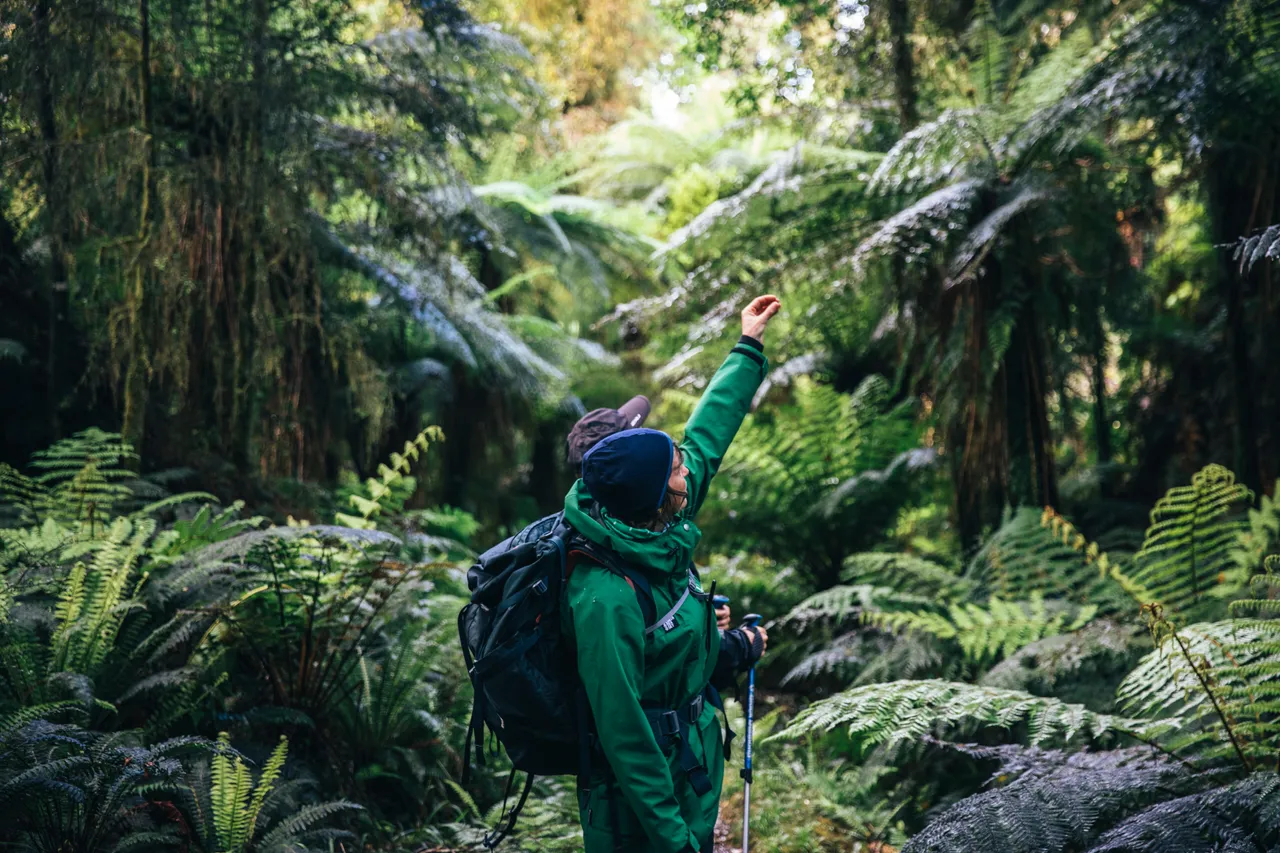 Hollyford Track - Southland, New Zealand - Credit Liz Carlson (27)