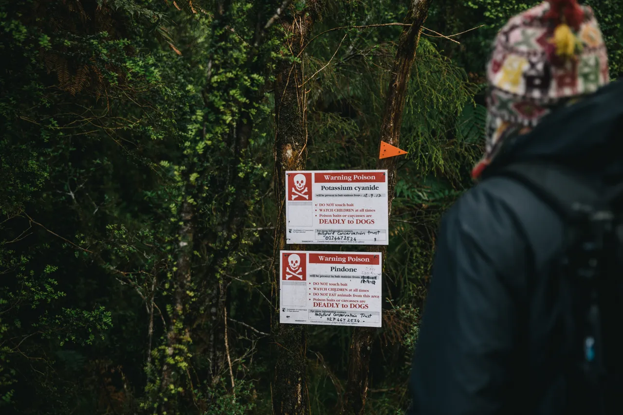 Hollyford Track - Southland, New Zealand - Credit Liz Carlson (25)
