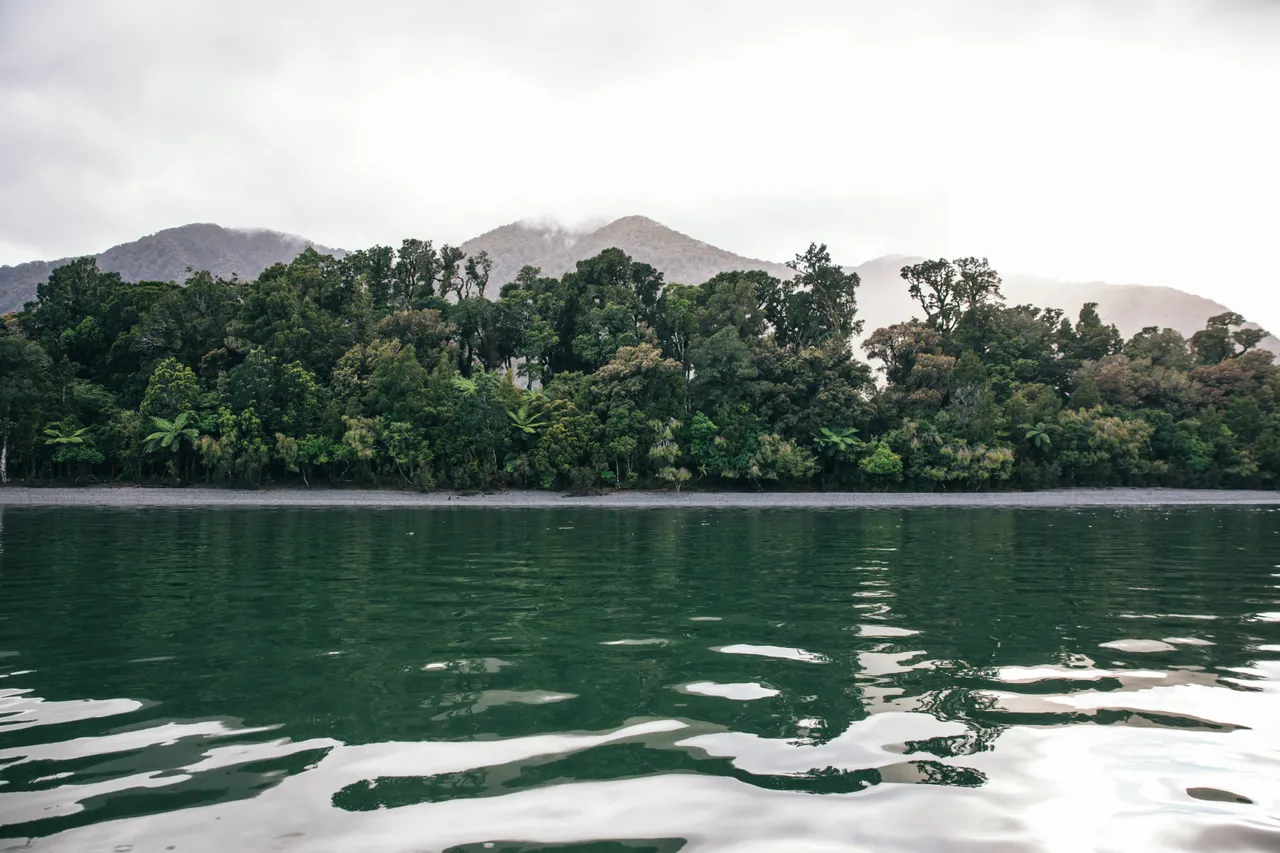 Hollyford Track - Southland, New Zealand - Credit Liz Carlson (23)