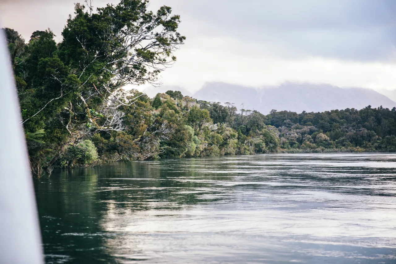 Hollyford Track - Southland, New Zealand - Credit Liz Carlson (17)