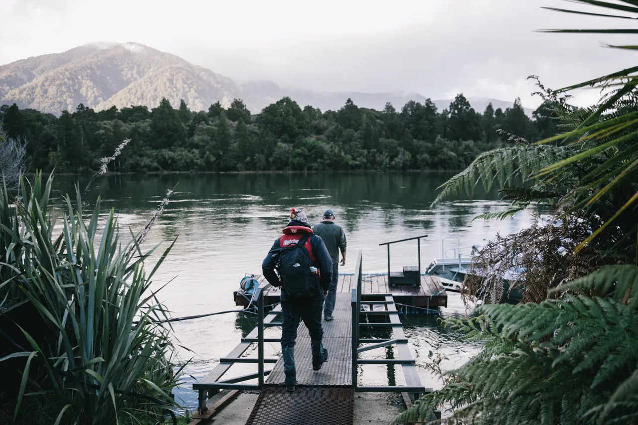 Hollyford Track - Southland, New Zealand - Credit Liz Carlson (16)