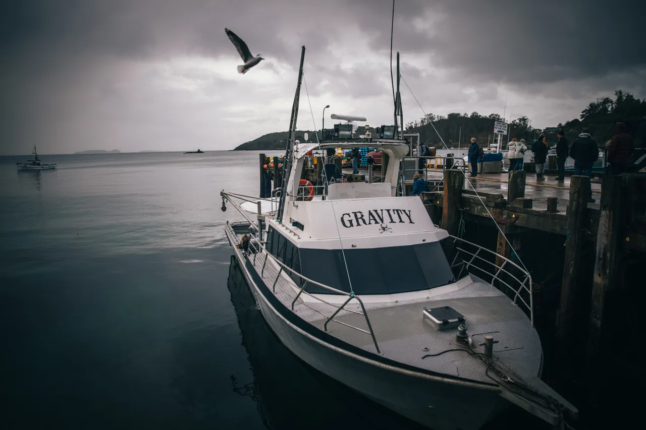 Gravity Fishing - Southland, New Zealand - Credit Liz Carlson (29)