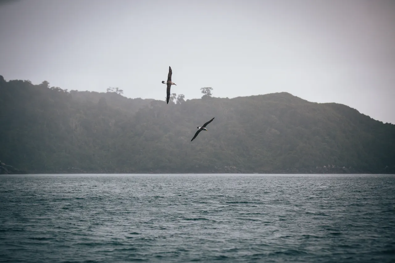Gravity Fishing - Southland, New Zealand - Credit Liz Carlson (22)
