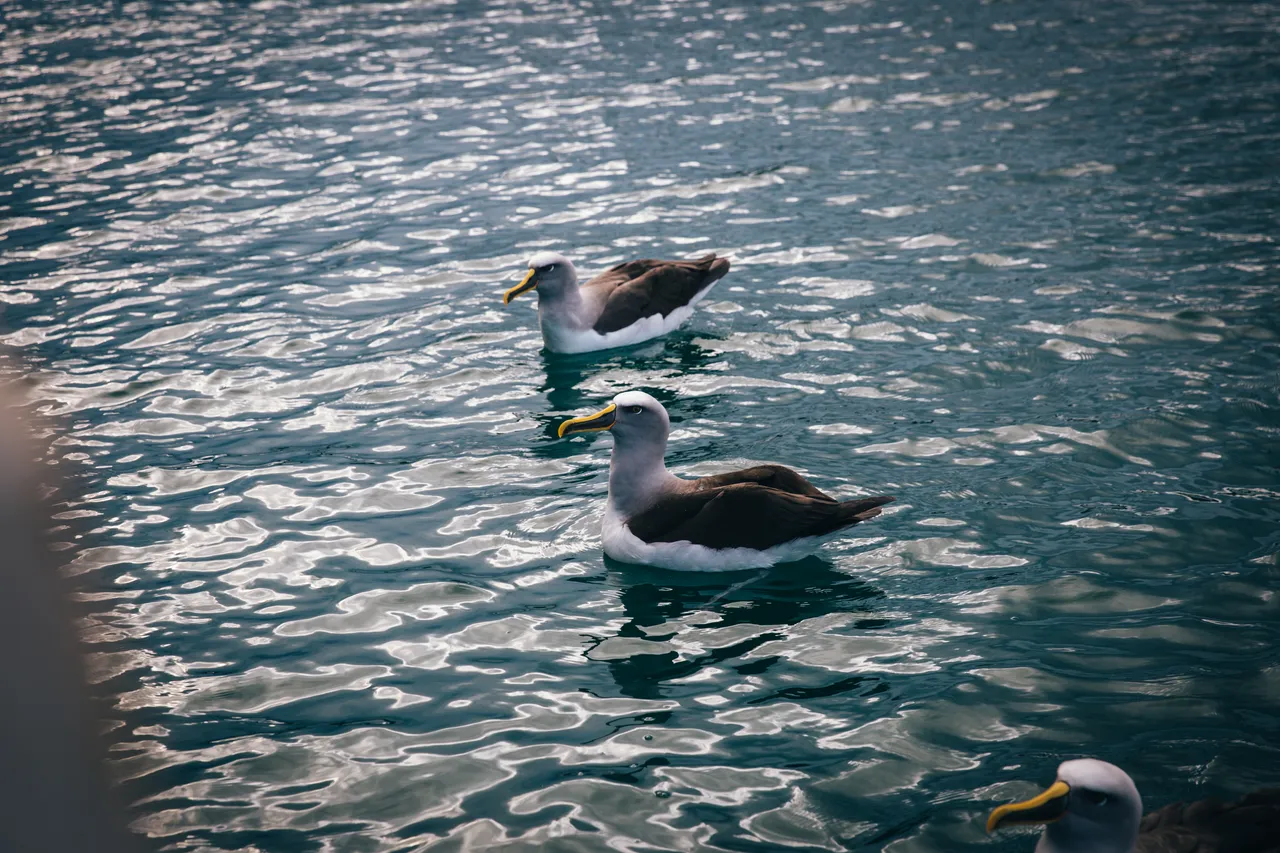 Gravity Fishing - Southland, New Zealand - Credit Liz Carlson (17)