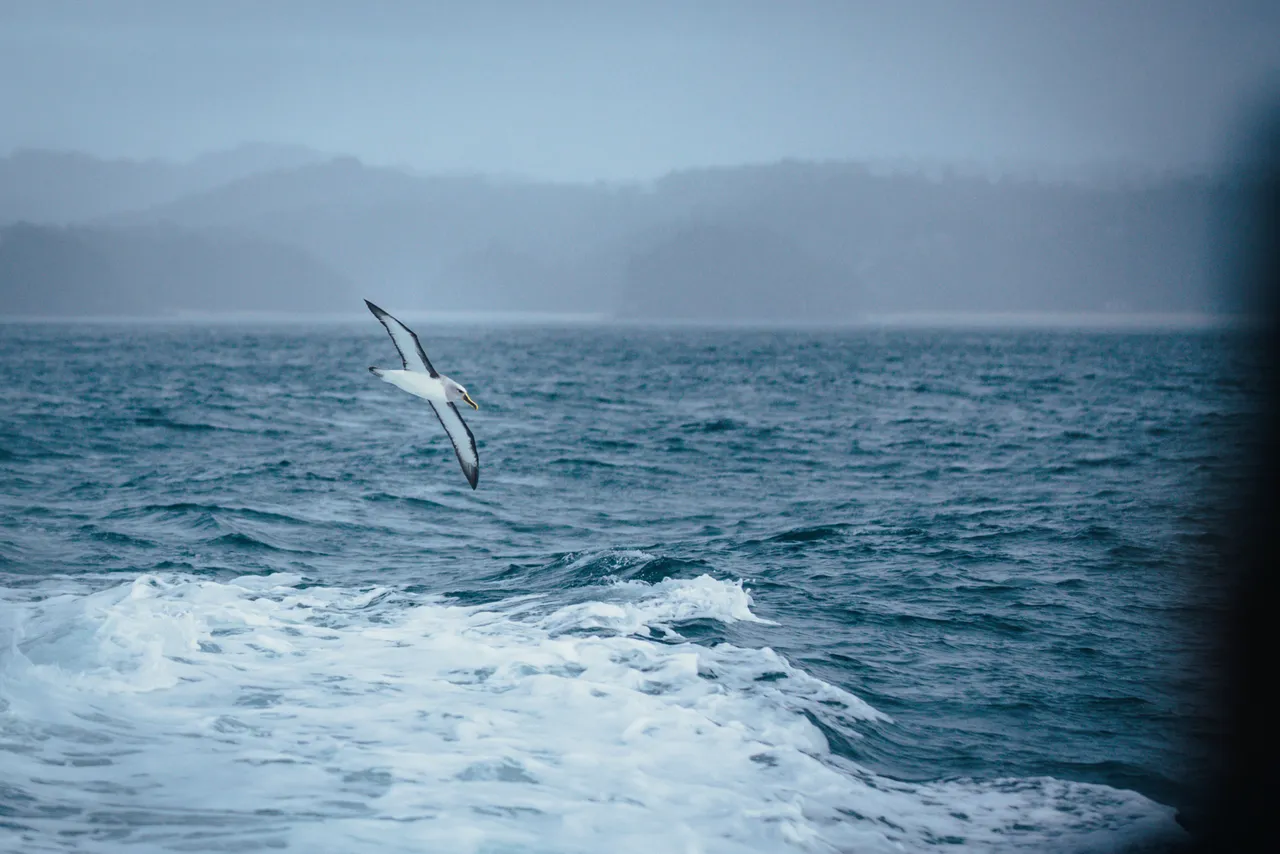 Gravity Fishing - Southland, New Zealand - Credit Liz Carlson (20)