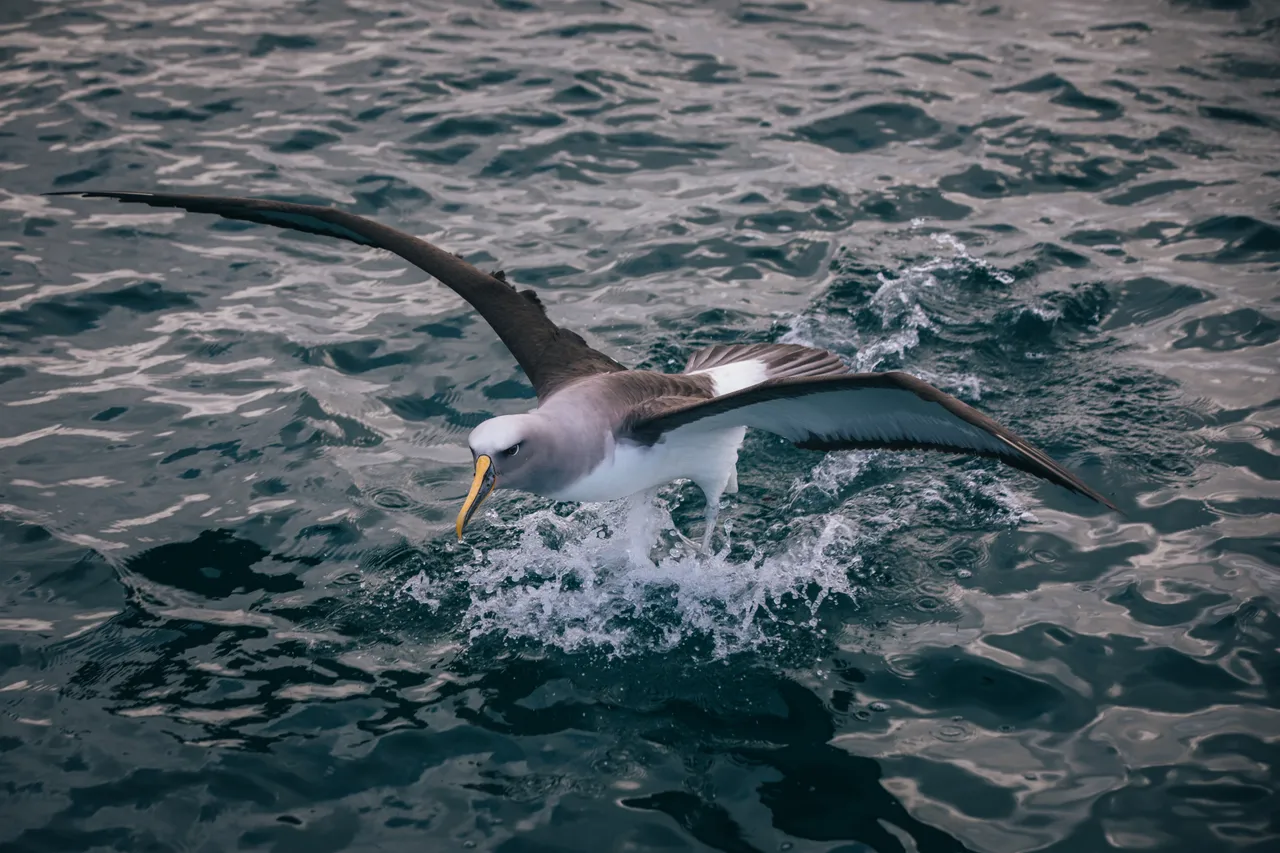 Gravity Fishing - Southland, New Zealand - Credit Liz Carlson (71)