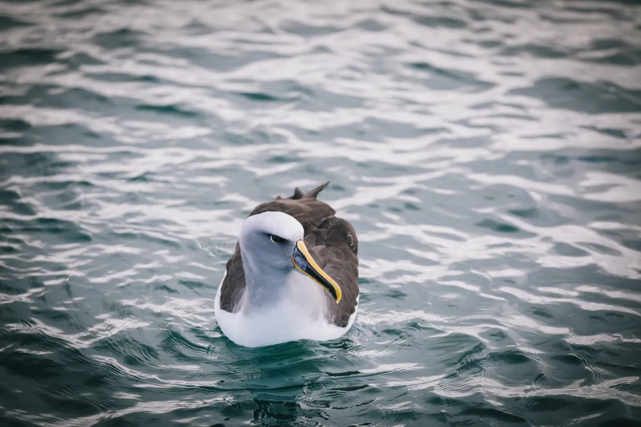 Gravity Fishing - Southland, New Zealand - Credit Liz Carlson (73)