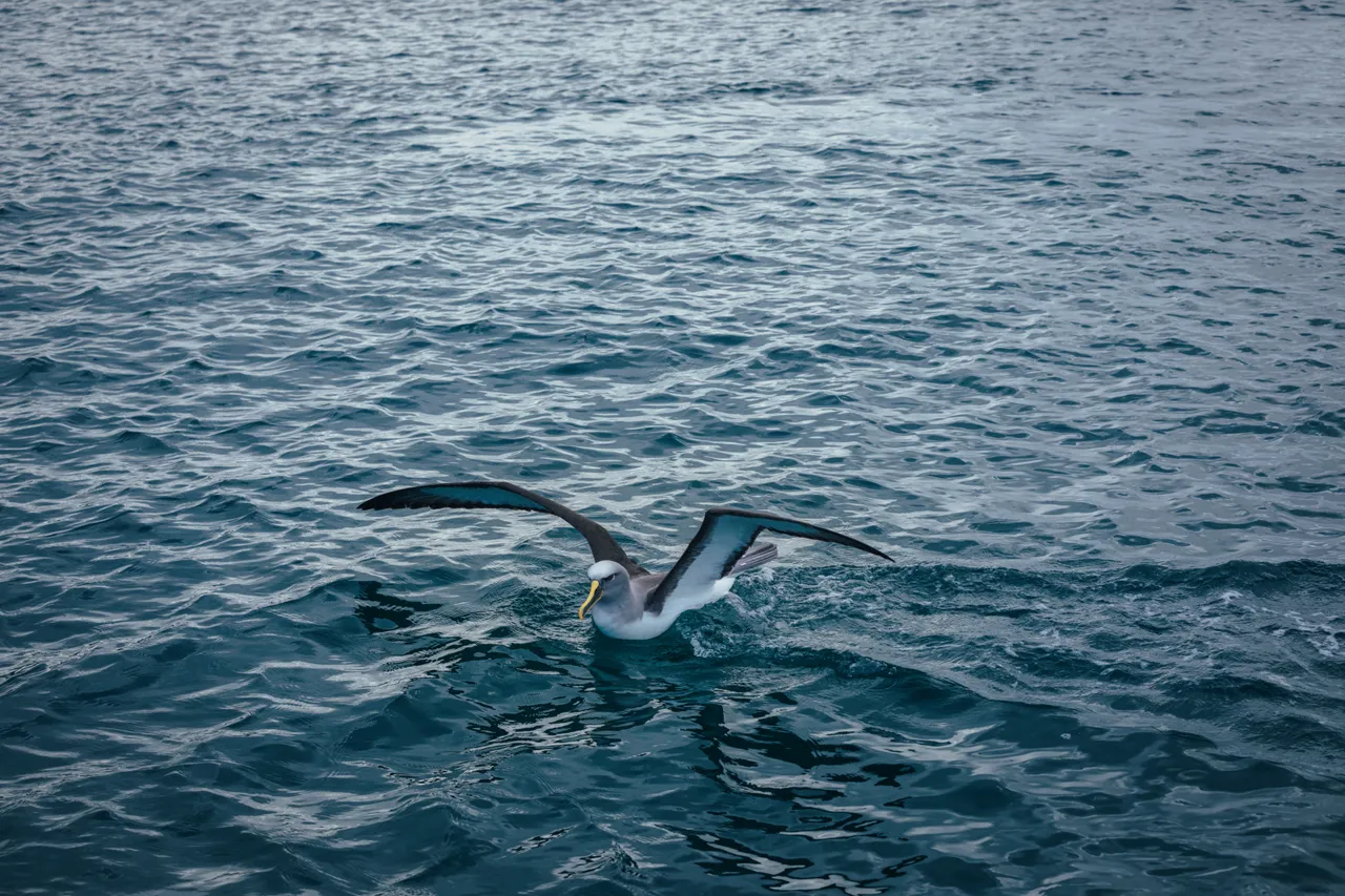 Gravity Fishing - Southland, New Zealand - Credit Liz Carlson (68)