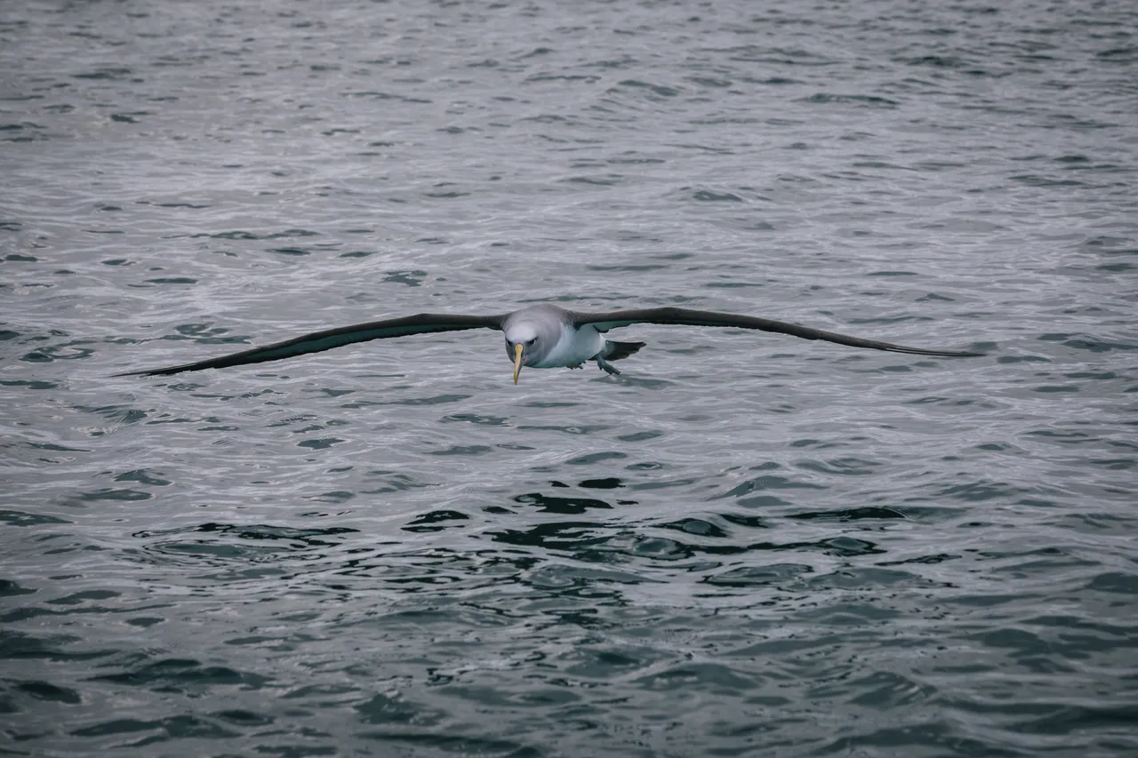 Gravity Fishing - Southland, New Zealand - Credit Liz Carlson (70)