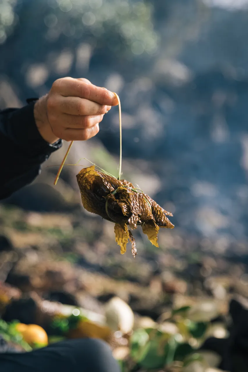 Gravity Fishing - Southland, New Zealand - Credit Liz Carlson (124)