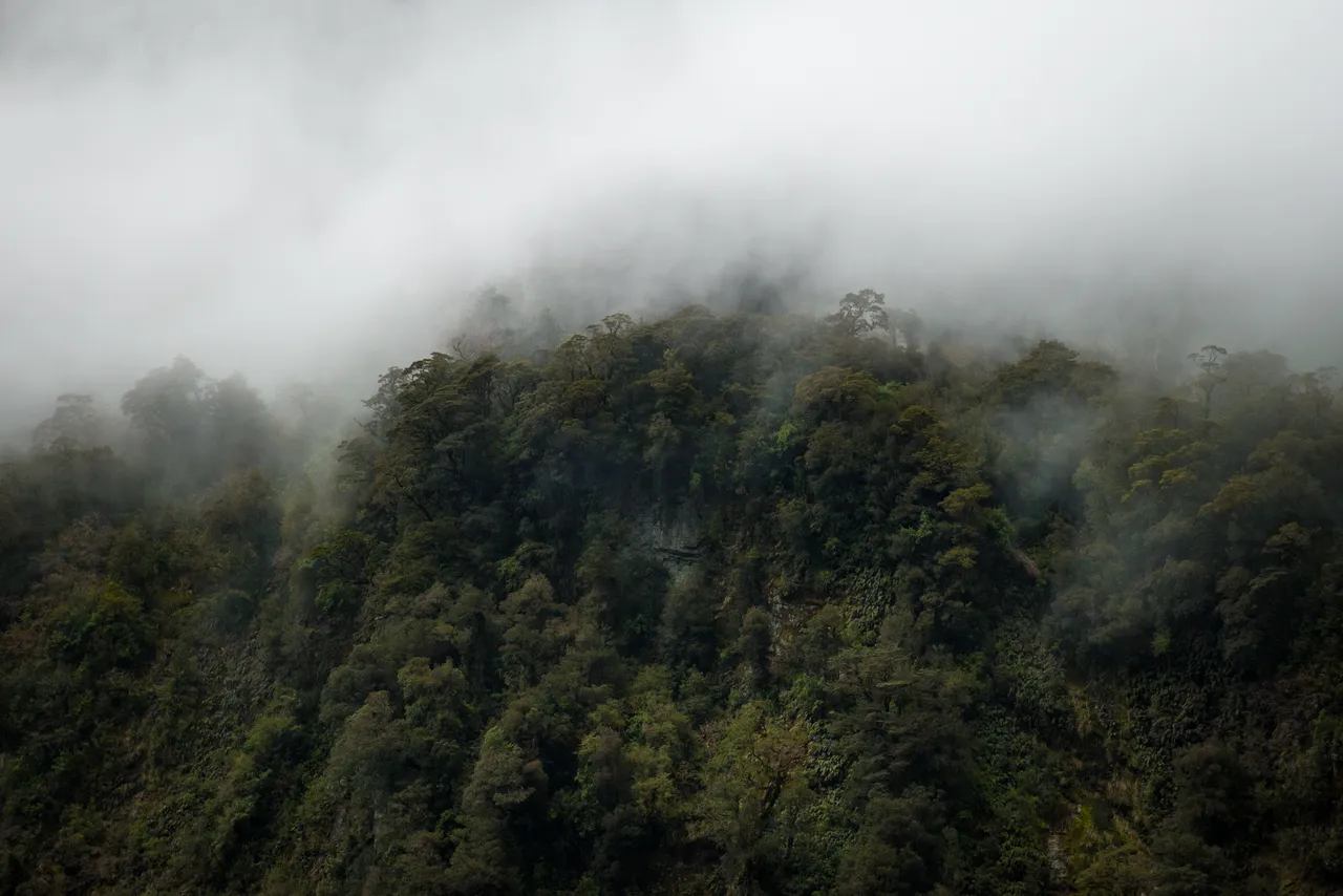 Doubtful Sound - Southland, New Zealand - Credit Liz Carlson (16)