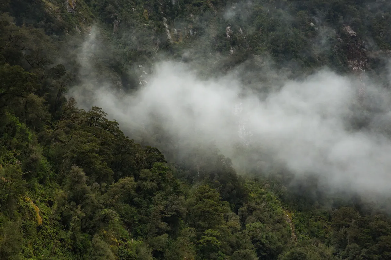 Doubtful Sound - Southland, New Zealand - Credit Liz Carlson (13)