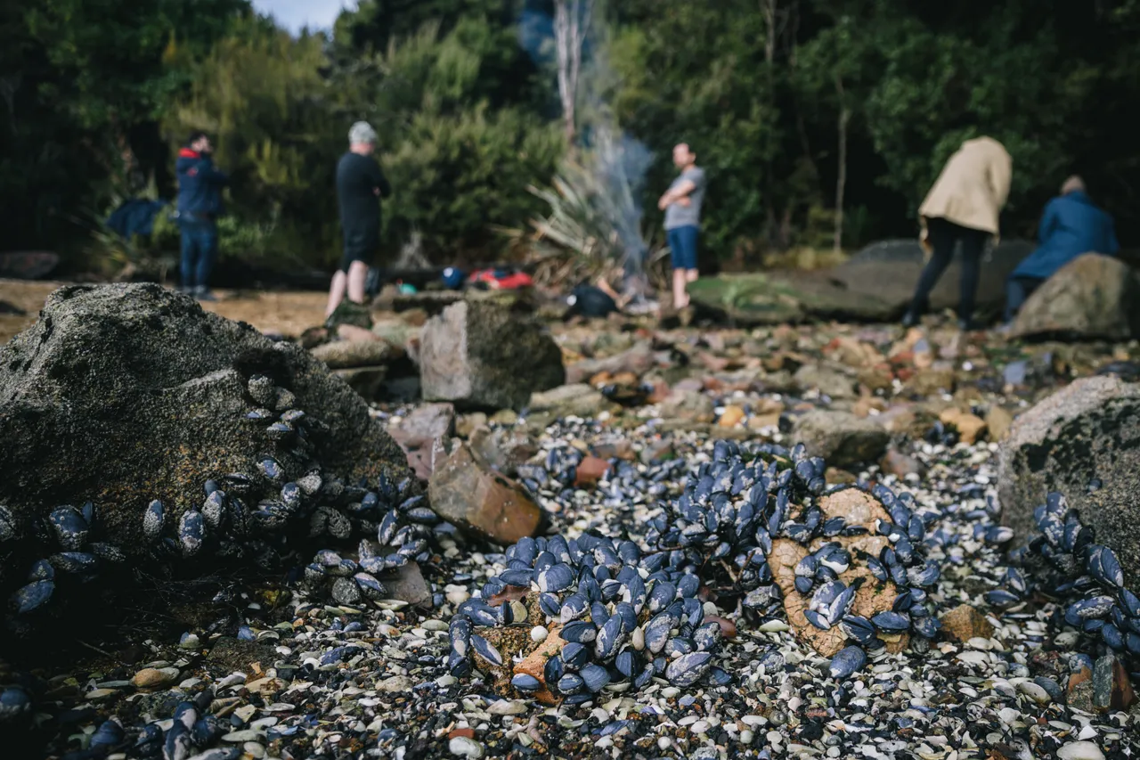 Gravity Fishing - Southland, New Zealand - Credit Liz Carlson (135)