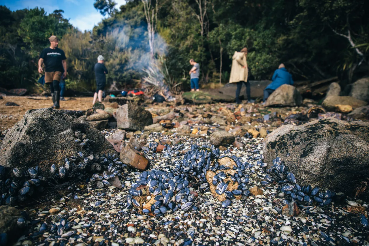 Gravity Fishing - Southland, New Zealand - Credit Liz Carlson (134)