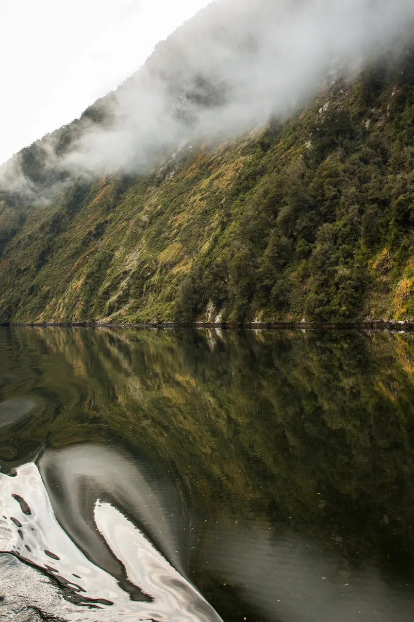 Doubtful Sound - Southland, New Zealand - Credit Liz Carlson (11)