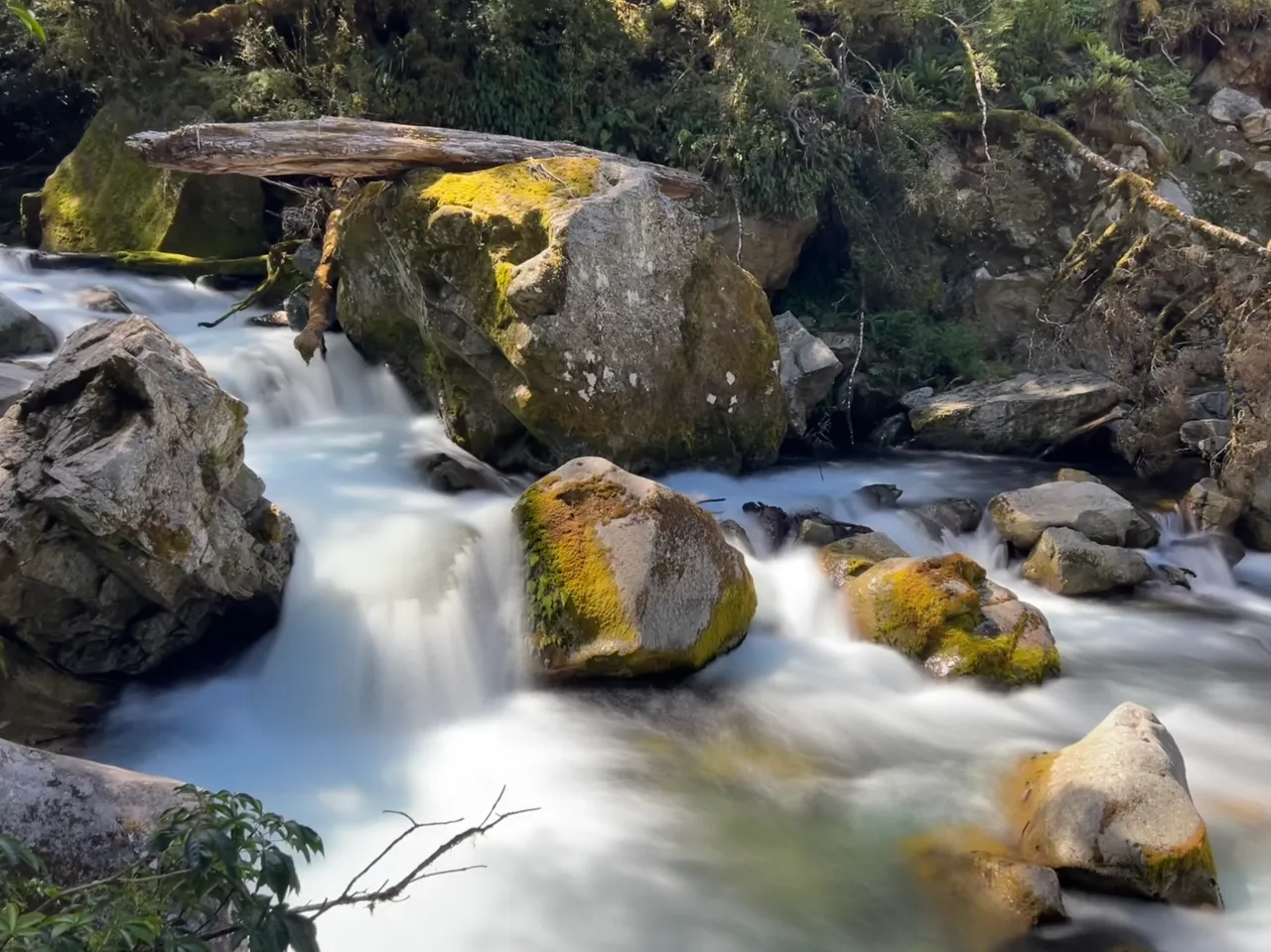 Lake Marian Falls Track - Southland, New Zealand - Credit Great South
