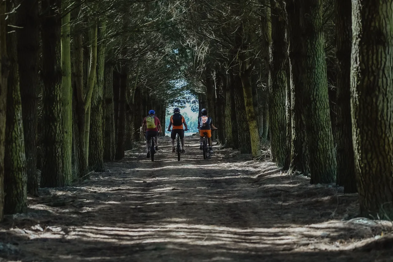 Around The Mountains Cycle Trail - Bixter Rd - Southland, New Zealand - Credit Great South (9)