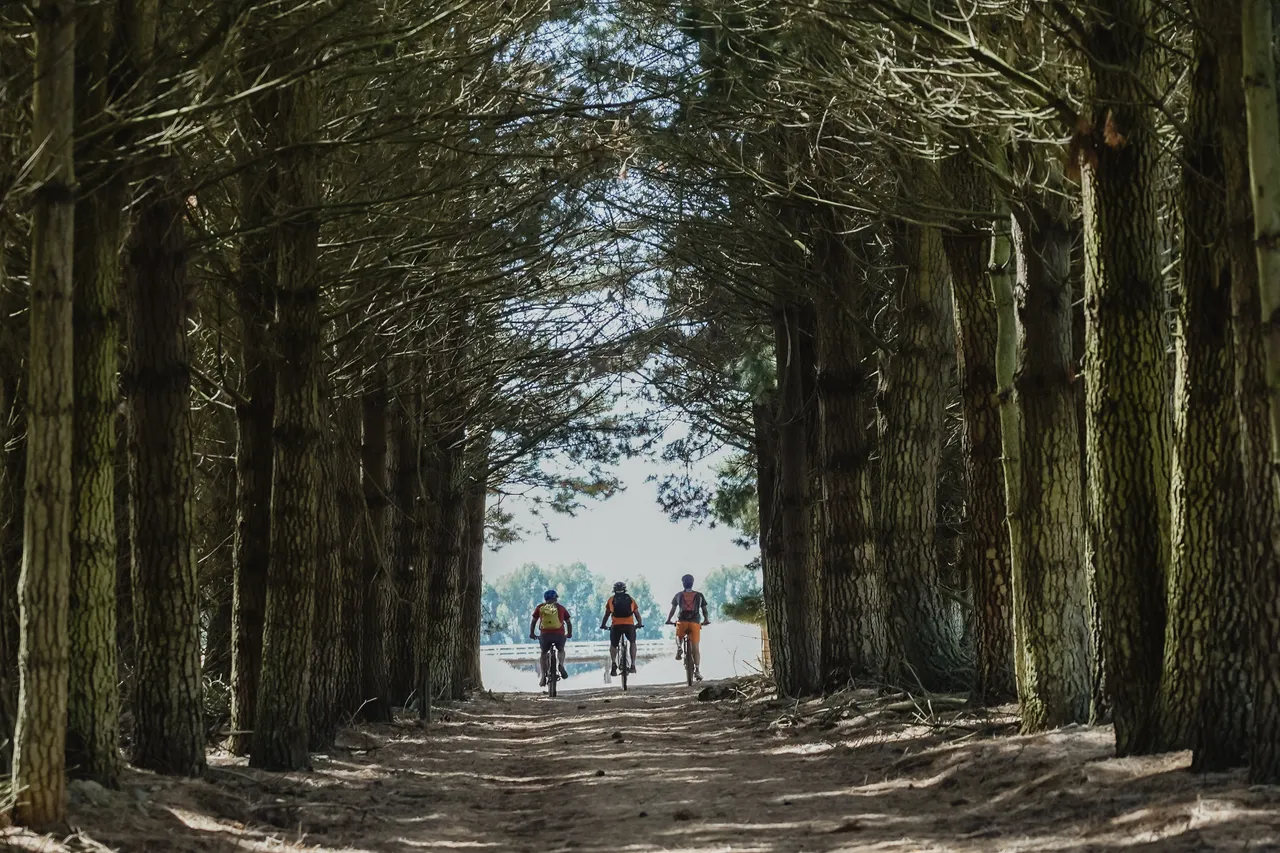 Around The Mountains Cycle Trail - Bixter Rd - Southland, New Zealand - Credit Great South (11)